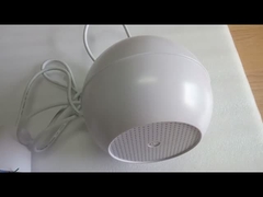 ПРИВЕСНОЙ ДИКТОР