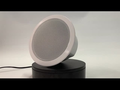 FIP-906 ДИКТОР ПОТОЛКА IP POE